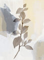 Image Not Available